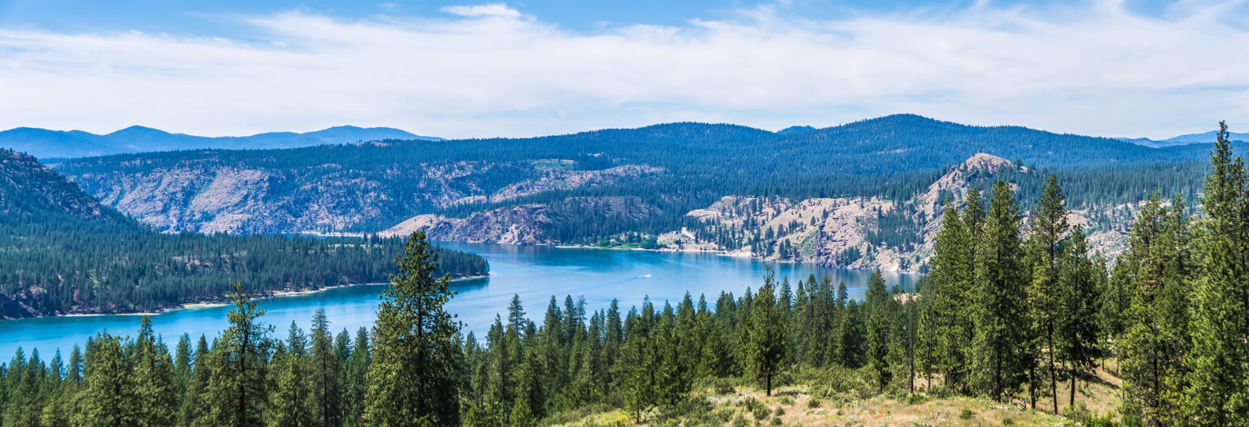 Mountains, trees, and lake